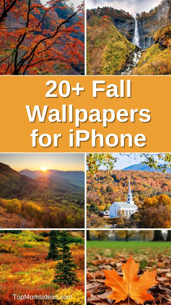 20+ Fall Wallpapers for iPhone