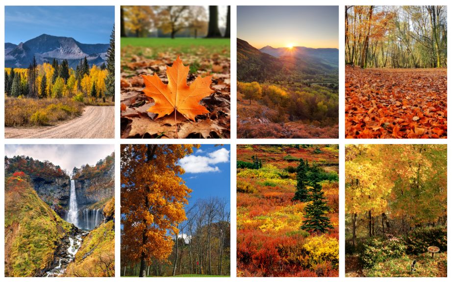 20+ Fall Wallpapers for iPhone