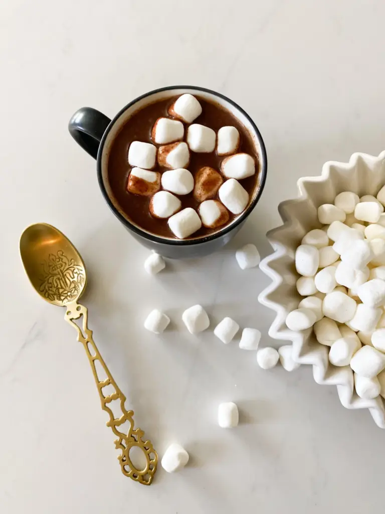 25 Delicious Hot Chocolate Recipes