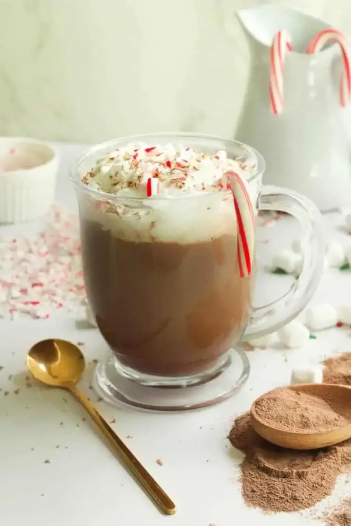 25 Delicious Hot Chocolate Recipes