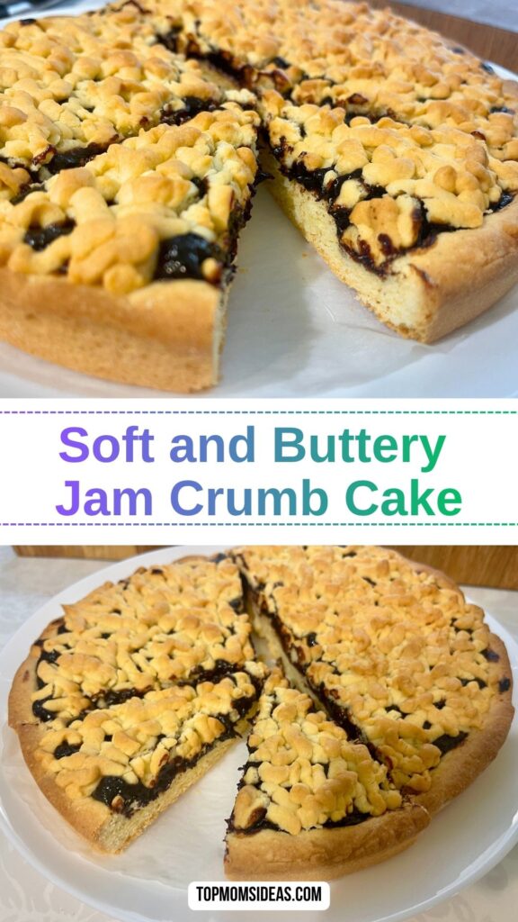 Soft and Buttery Jam Crumb Cake