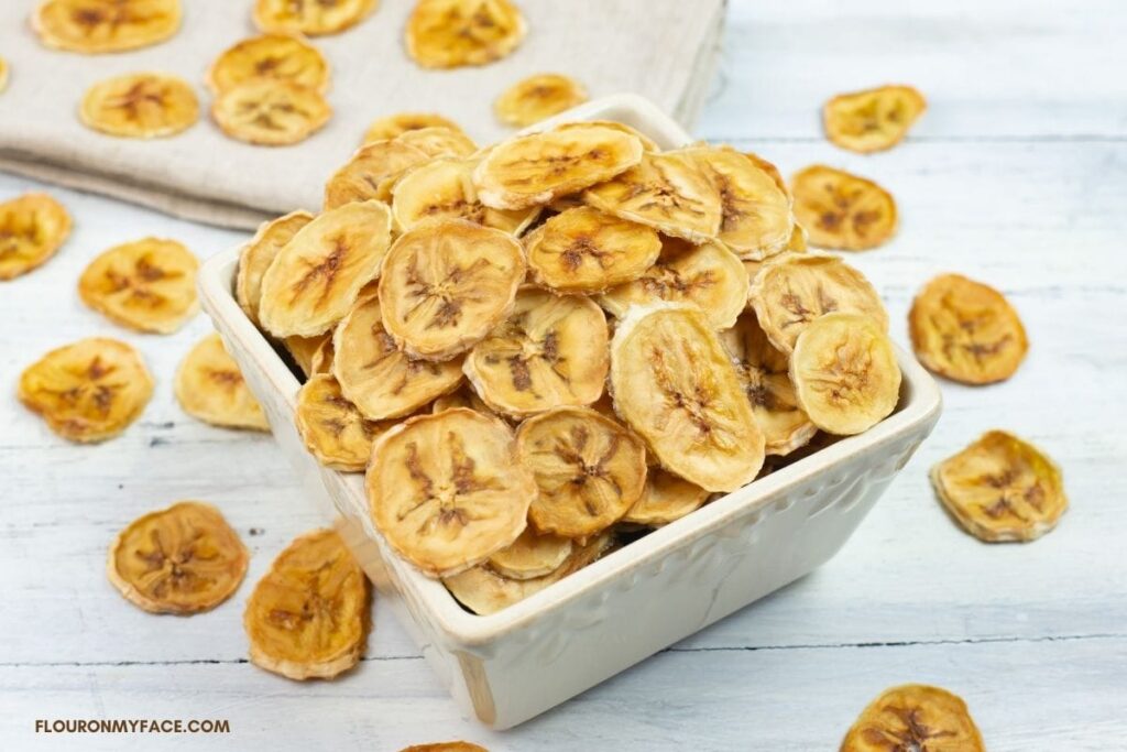 25 Healthy Dehydrated Snacks