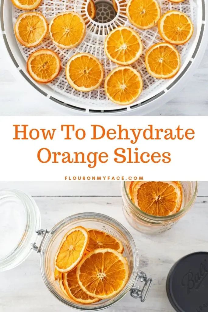 25 Healthy Dehydrated Snacks