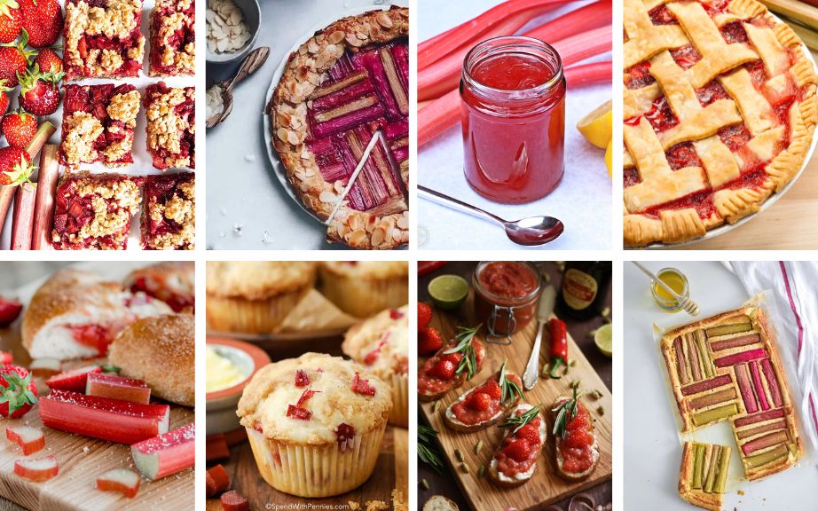 20 Delicious Rhubarb Recipes