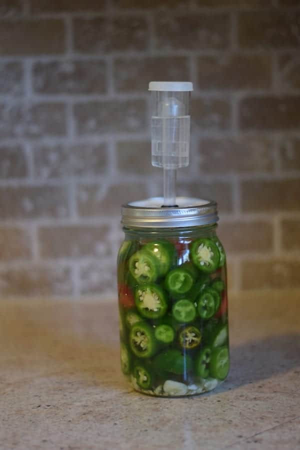 15 Easy Fermented Food Recipes